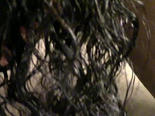 looking for a toy to play with