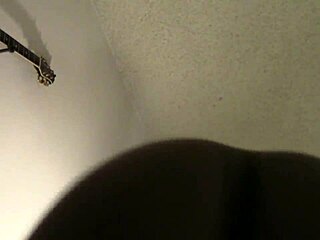 looking for a toy to play with