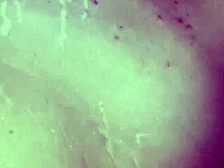 wife fucks with ex and husband, big ass swinging