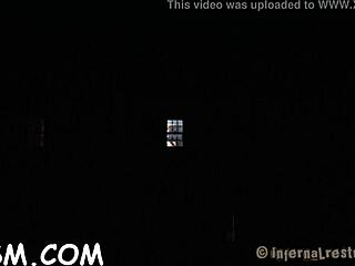 brunette babe teases her wet pussy with vibrator