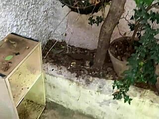 Fucking the neighbor now?