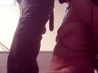 A homemade video of slave humiliation involving piss and blowjob