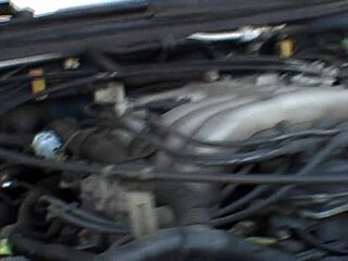 audrey hollander rides cock nastily?