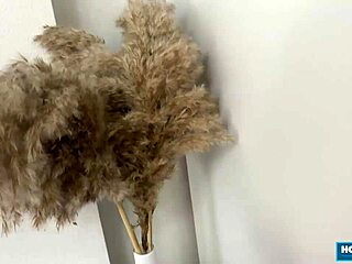 sexy brunette amanda clarke sucks cock before hard doggystyle pounding