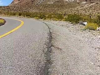 I enjoy being naked outdoors.