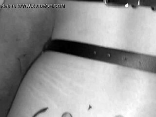 sexy roxy acts as sex slave on leash