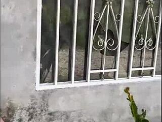 给委内瑞拉妹现金户外公共狂欢