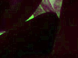 Fuck That Cambodian Girl In The Hotel For Our Sex Tape!