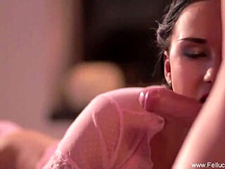 Beautiful Brunette Girlfriend Giving Superior Blowjob