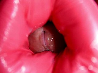 dinosaur anal, man, i messed up but dat toy fuckin rocked me!