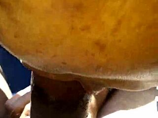 Ever tried a steamy blowjob in a car?