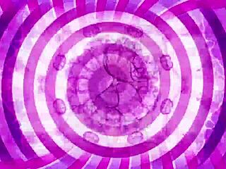 Bimbo Zone provoca con entrenamiento sissy, ¿estás listo para mis instrucciones de polla grande?