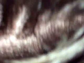 Intense Road Head Interracial Blowjob In Car!