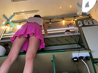 Error: Invalid ID, skipping.