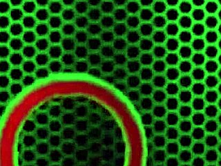 Ben English enjoys a blowjob before doggystyle with mature woman.