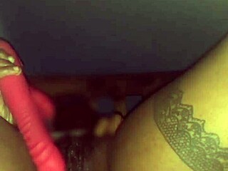 Ebony Milf Strip Tease And Deepthroat Preview