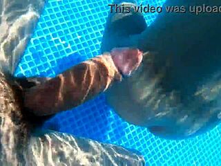 Pregnant Milf Shows Off for Neighbors