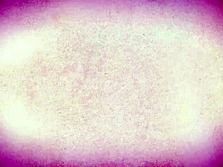 Error: Invalid ID, skipping.