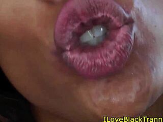 tugging ebony shemales together on sofa close up stockings 😏