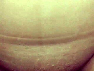Cogida