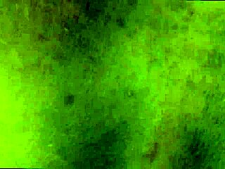 We amateur black couple fucked doggystyle, it was intense