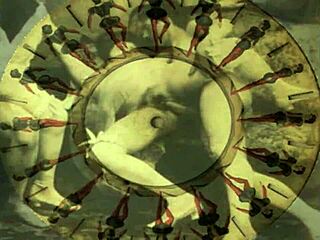 Vintage Old Pornography Collection