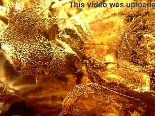 sexy skinny katia sweet gets hardcore gangbang with big black cocks, gaping ass from fingering.