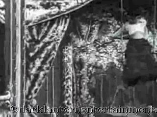 Dark Lantern Presents Vintage Swingers From My Secret Life