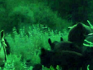 brooke ballentyne fucking the hired ranch hand by the fireside outdoors