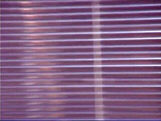 True College Girls Volume 8 Scene 4