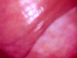 did you see this close up of blonde teen sucking big cock and swallowing cum?