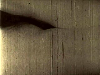 Vintage Erotic Illustration From Antique Collection