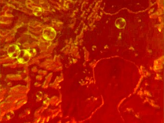 Let's play valkyrie in vr