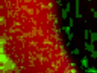 Kanedamaaka ruins my tights in excitement, wanna see the action?