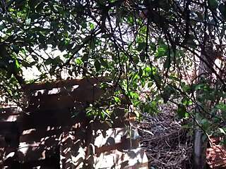 o comer dor de cu ataca novamente levou a casada no mato e fod� o seu cuzinho