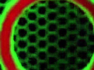 Blonde cougar Vicky Vette pleasures her hairy pussy