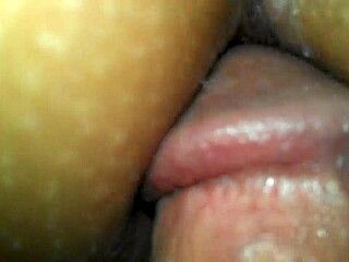 Close-Up POV of Sexy Pussy Action.