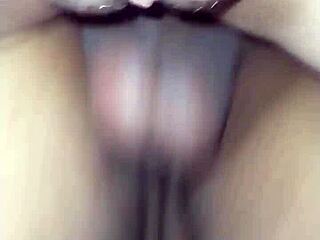 Amor Gozando No Pau Dele Safado