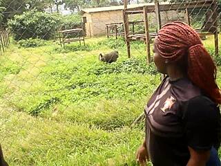 公园意外邂逅巨屌