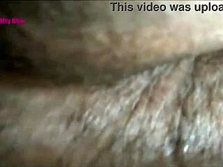 Jean Rdz Hotwife Begs Her Cuckold To Impregnate Her Fat Tits And Boobs.