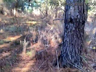 Clitlicker662 - Update 23 - Img 1265 - Dec 12 2024