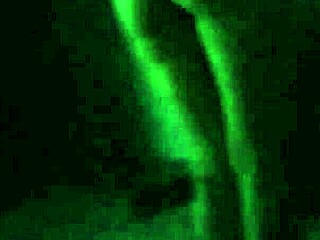 Beautiful Brunette Prostitute With Hot Ass