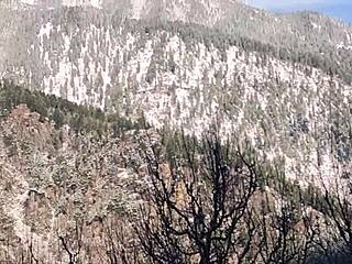 Mother-in-Law Thirsty for Son's Cock?