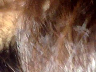 Creampie to sister-in-law part two.