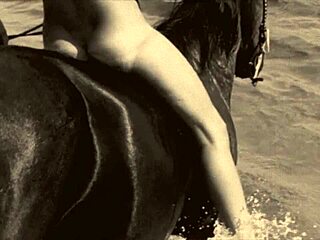 Dark Lantern Entertainment: Tajný sexuální život viktoriánského anglického gentlemana