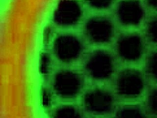 blonde bbw charlie chase gives boob jobs with big pussy