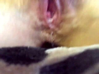 Home alone playing with teen young masturbation solo.