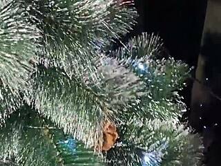 Step sister showed her Christmas costume and gave her holes as a gift