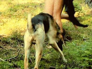 Parodia Erótica De La Bella Y La Bestia