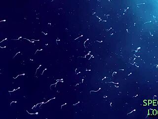 Latina Bodybuilder Extracts DNA Into Pussy